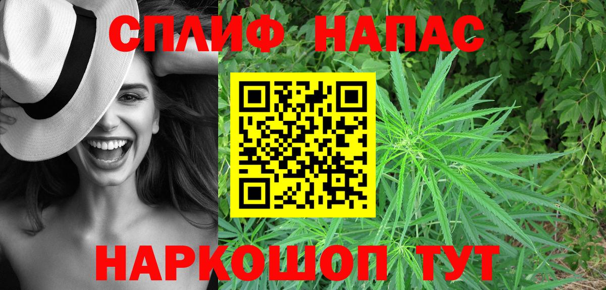Канабис OG Kush Видное
